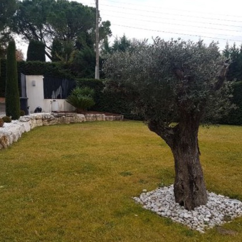 Jardin de villa, détection extérieure